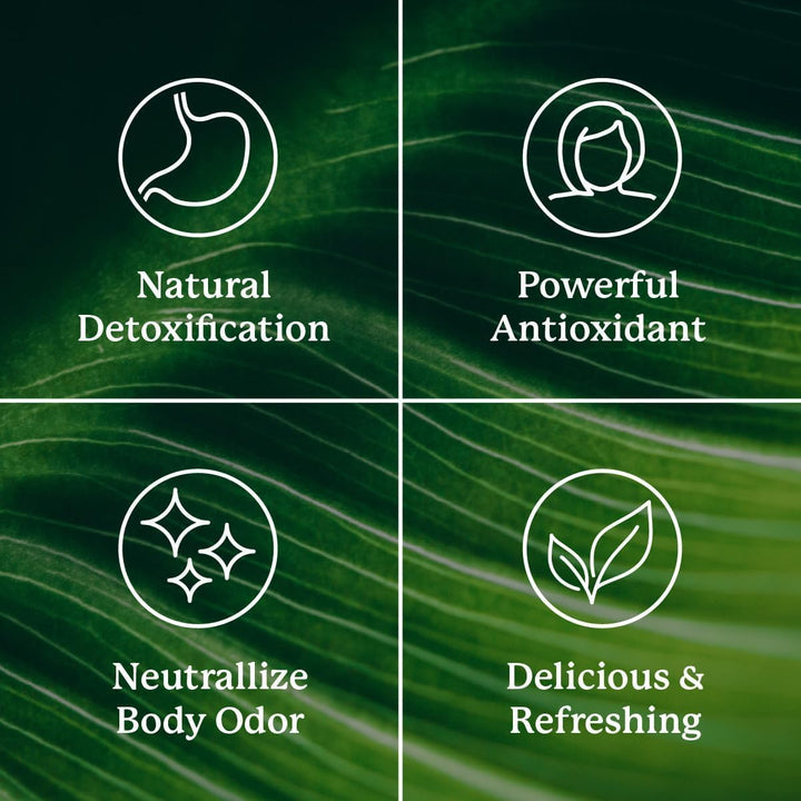 Nature's Sunshine Chlorophyll Stick Packs: Supercharge Your Detox and Boost Gut Health. Heavy lifts. Long runs. Sweaty sessions?