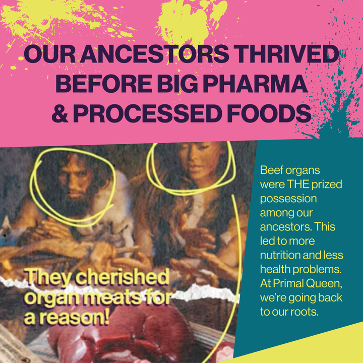Primal Queen Beef Organ Superfood - Busy days and restless nights? You’re not alone!